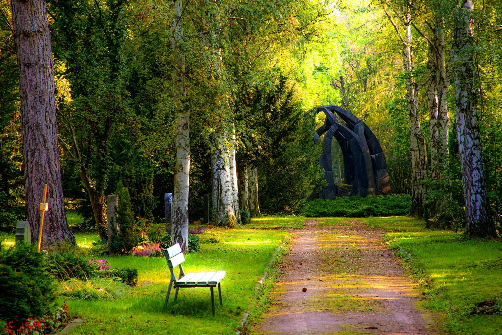 Imagen de apertura, naturaleza serena